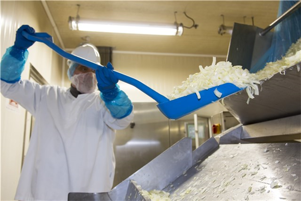 Lopata ergonomica 1310 mm, Vikan, verde