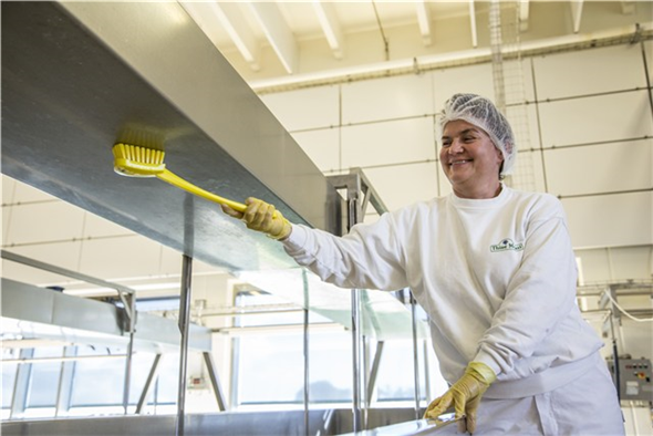 Perie cu maner lung,peri duri, 415 mm, roz