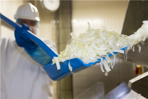 Lopata ergonomica 1310 mm, Vikan, verde