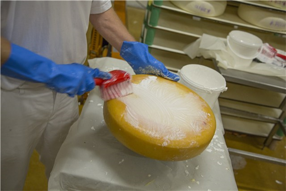 Perie cu maner scurt, peri moi/despicati, 270 mm, Vikan, verde