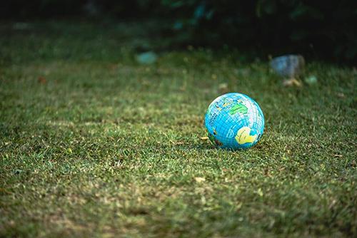 Ecologizare - ce este ecologizarea mediului inconjurator si cum pot contribui companiile