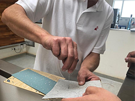 Testare-produse-Green-Care-Tana-Professional