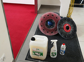 Testare-produse-Green-Care-Tana-Professional-1